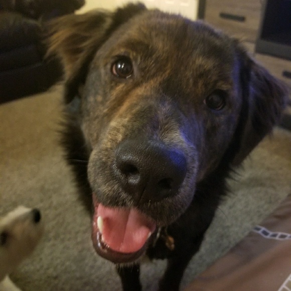 Meet your Posher, Narissara - Picture 1 of 1